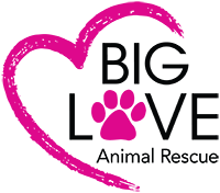 Big Love Animal Rescue