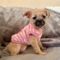Lila